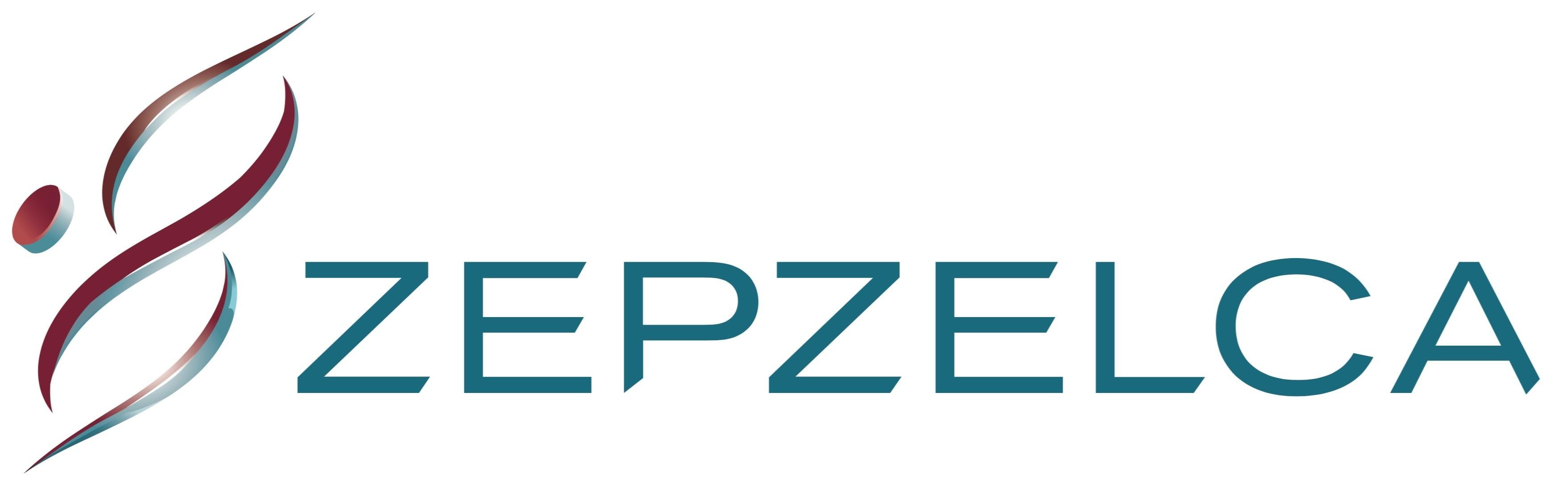 Paraqitja e markës ZEPZELCA