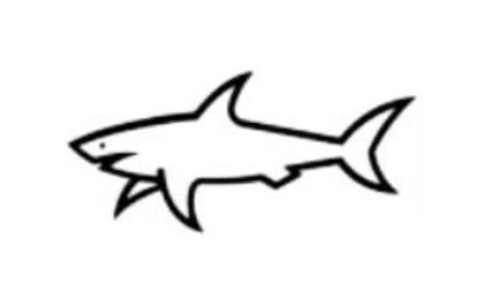 Paraqitja e markës SHARK