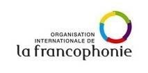 Paraqitja e markës ORGANIZATION INTERNATIONALE