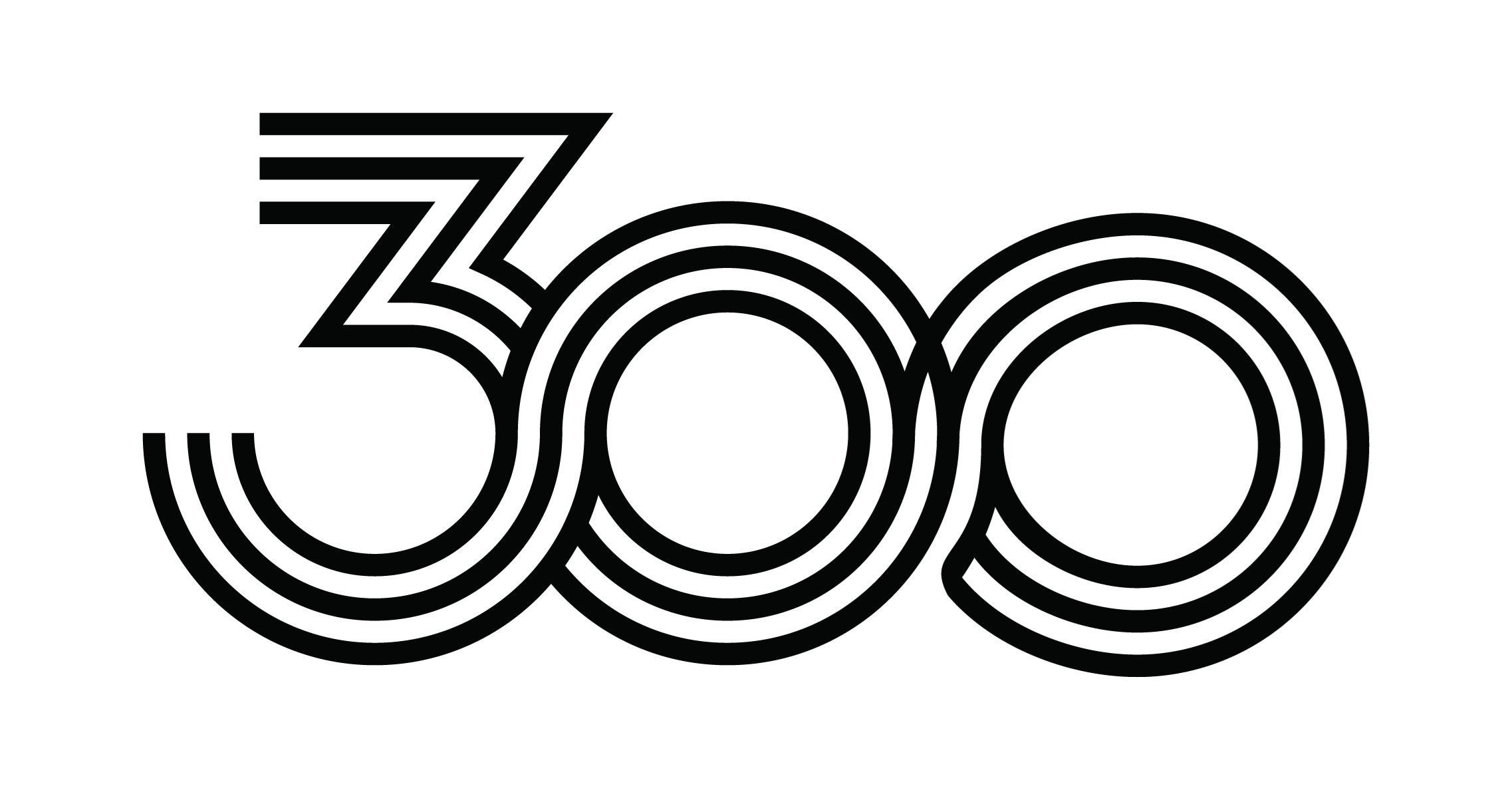 Paraqitja e markës 300