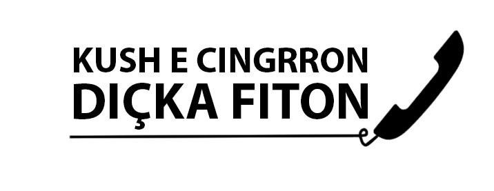 Paraqitja e markës KUSH E CINGRRON DICKA FITON