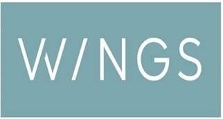 Paraqitja e markës wings
