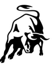 Paraqitja e markës BULL LOGO