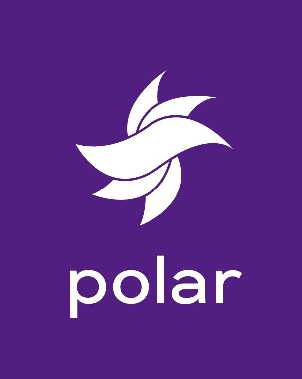 The representation of the trademark polar
