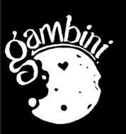 Paraqitja e markës gambini