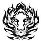 Paraqitja e markës PREDATOR TIGER