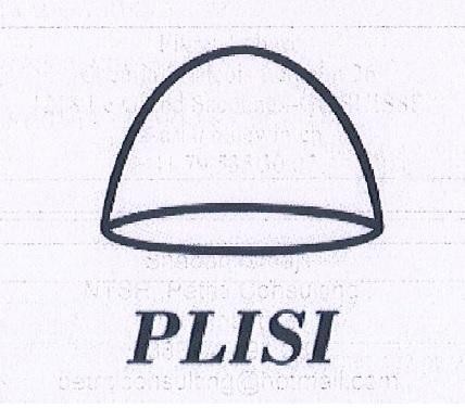 Paraqitja e markës PLISI