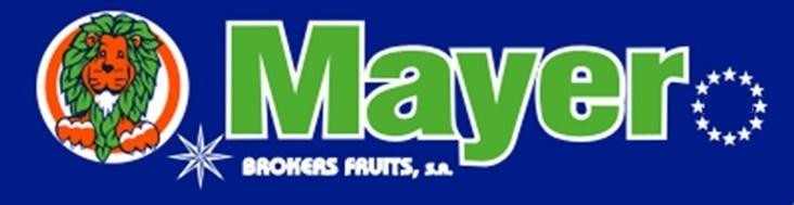 Paraqitja e markës Mayer