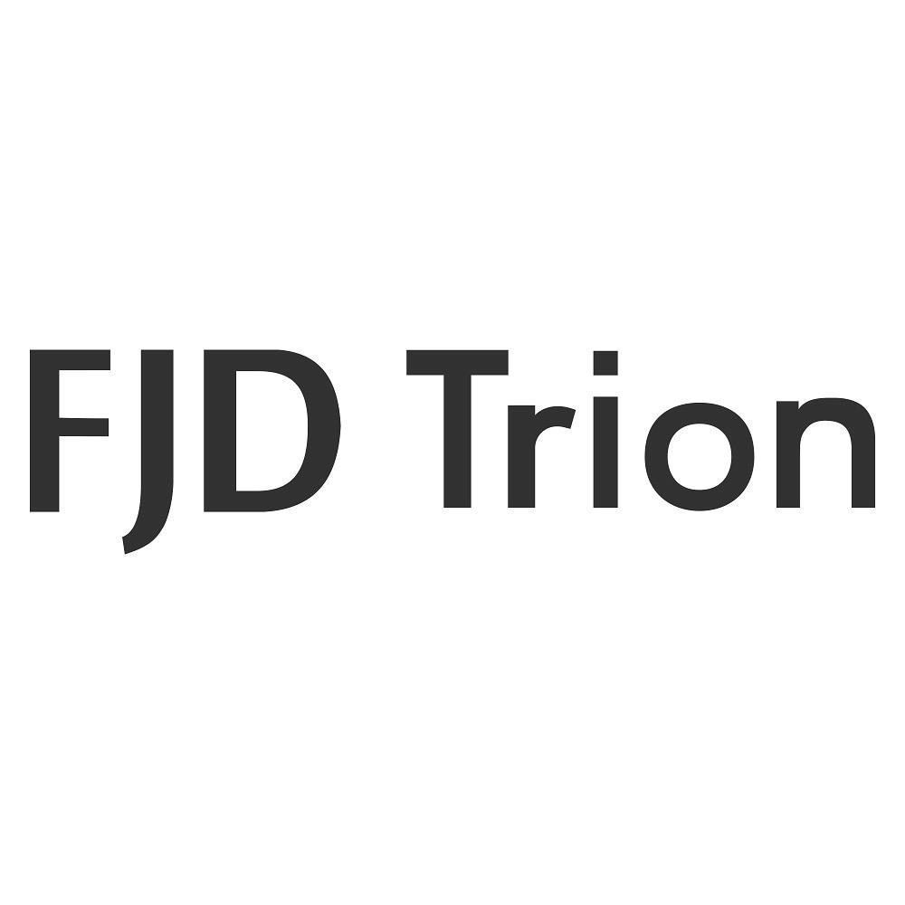 Paraqitja e markës FJD Trion