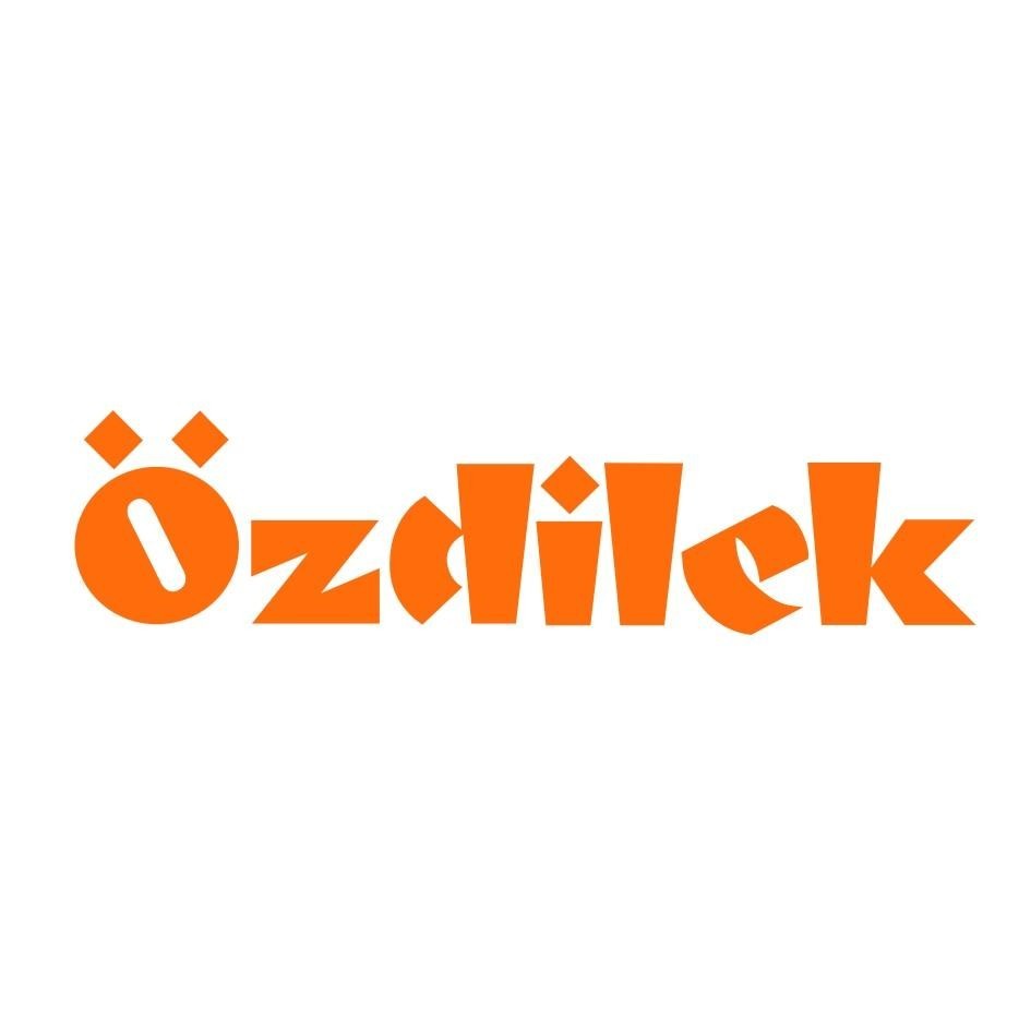 The representation of the trademark Ozdilek