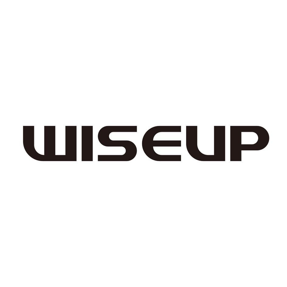 Paraqitja e markës WISEUP