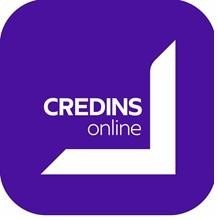 Paraqitja e markës CREDIS online