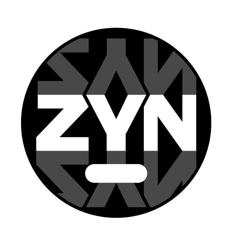 Paraqitja e markës ZYN