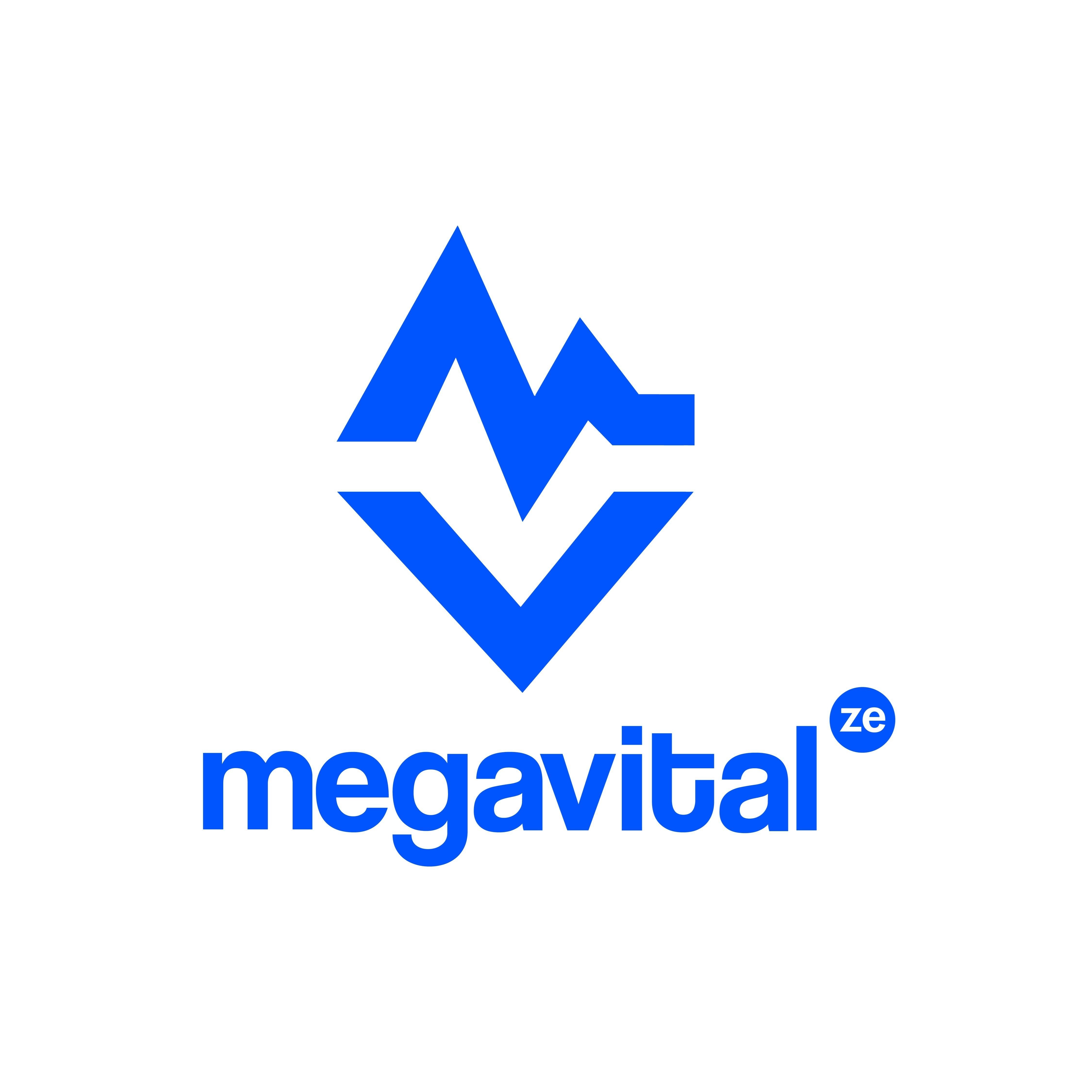 Paraqitja e markës megavital ze