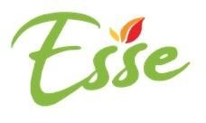 Paraqitja e markës Esse