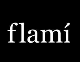 Paraqitja e markës flami