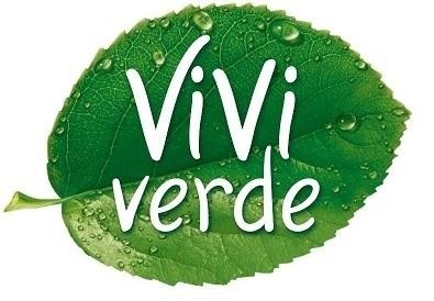 Paraqitja e markës ViVi verde