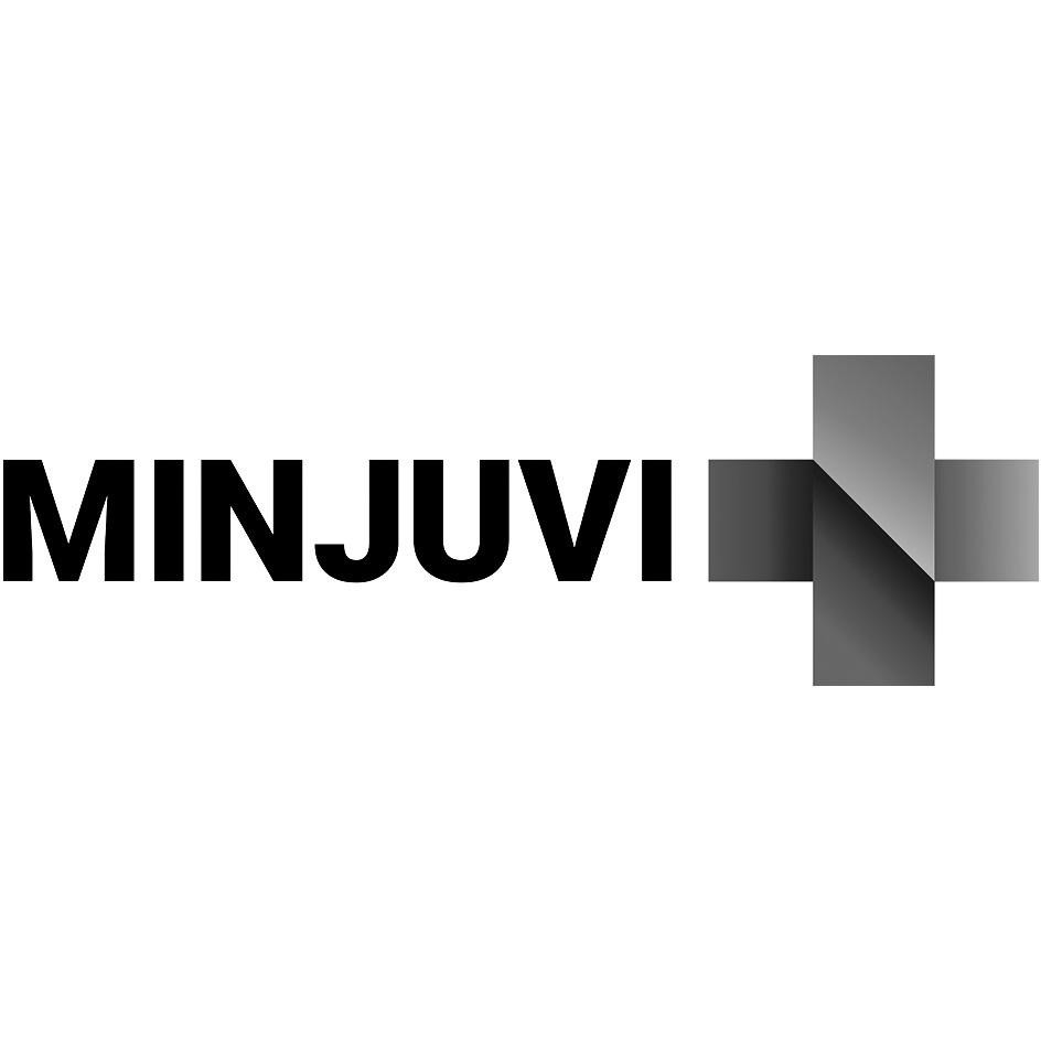 Paraqitja e markës MINJUVI