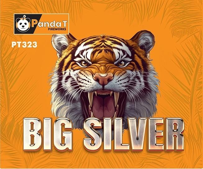 Paraqitja e markës BIG SILVER