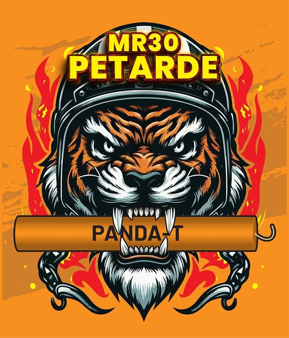 Paraqitja e markës MR30 PTARDE