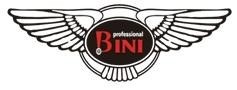 The representation of the trademark BINI