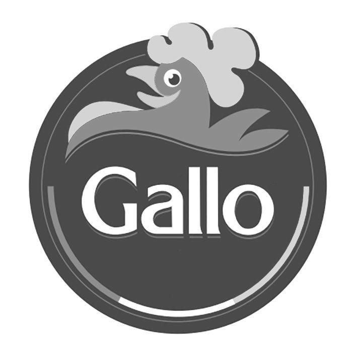 Paraqitja e markës Gallo