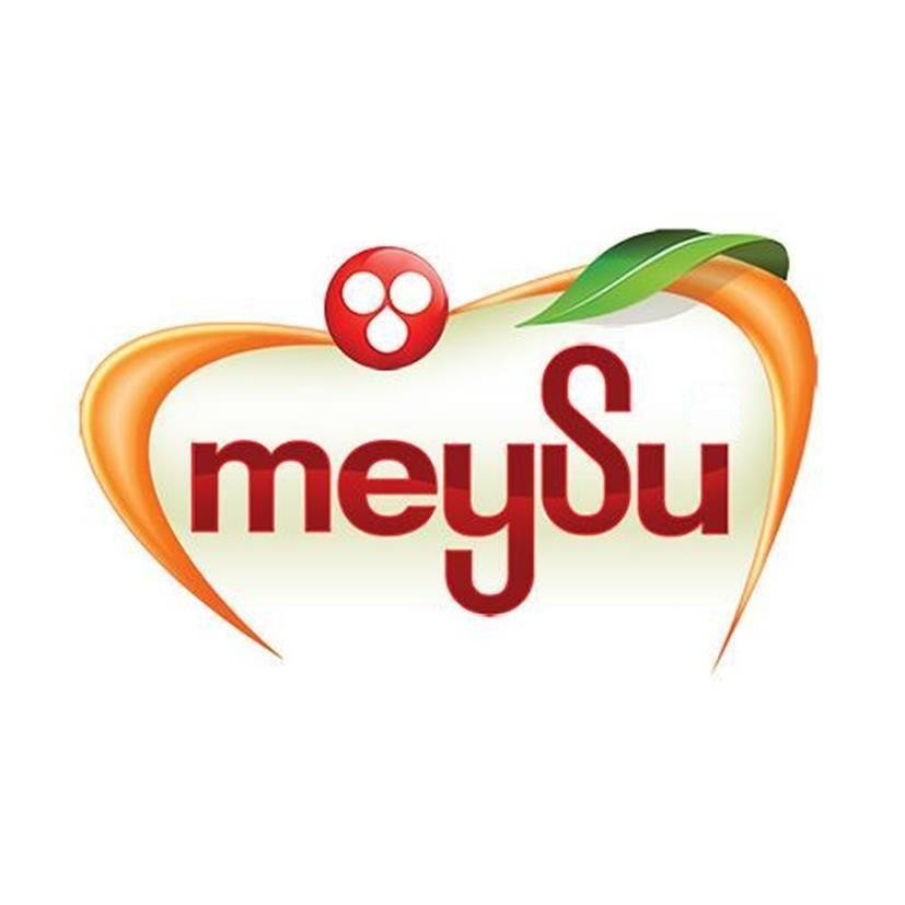Paraqitja e markës meySu