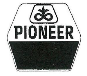 Paraqitja e markës PIONEER