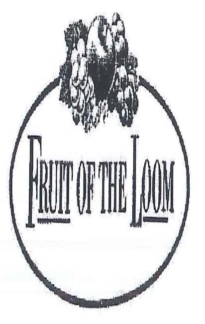 Paraqitja e markës FRUIT OF THE LOOM