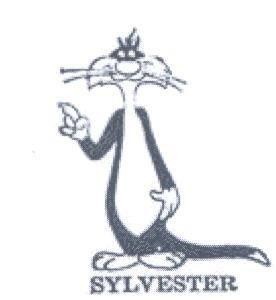 SYLVESTER markasının görünümü