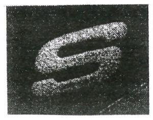 Paraqitja e markës Marka nr. 000213