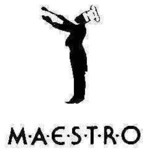 Paraqitja e markës MAESTRO