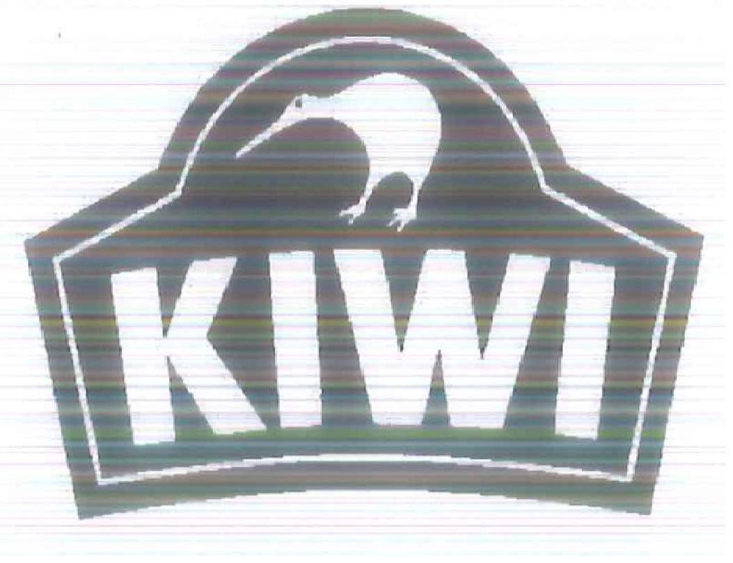 Paraqitja e markës KIWI