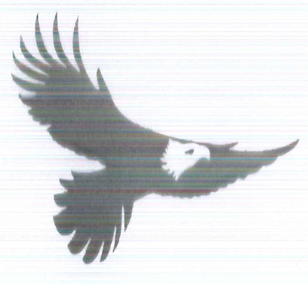 Paraqitja e markës EAGLE DEVICE