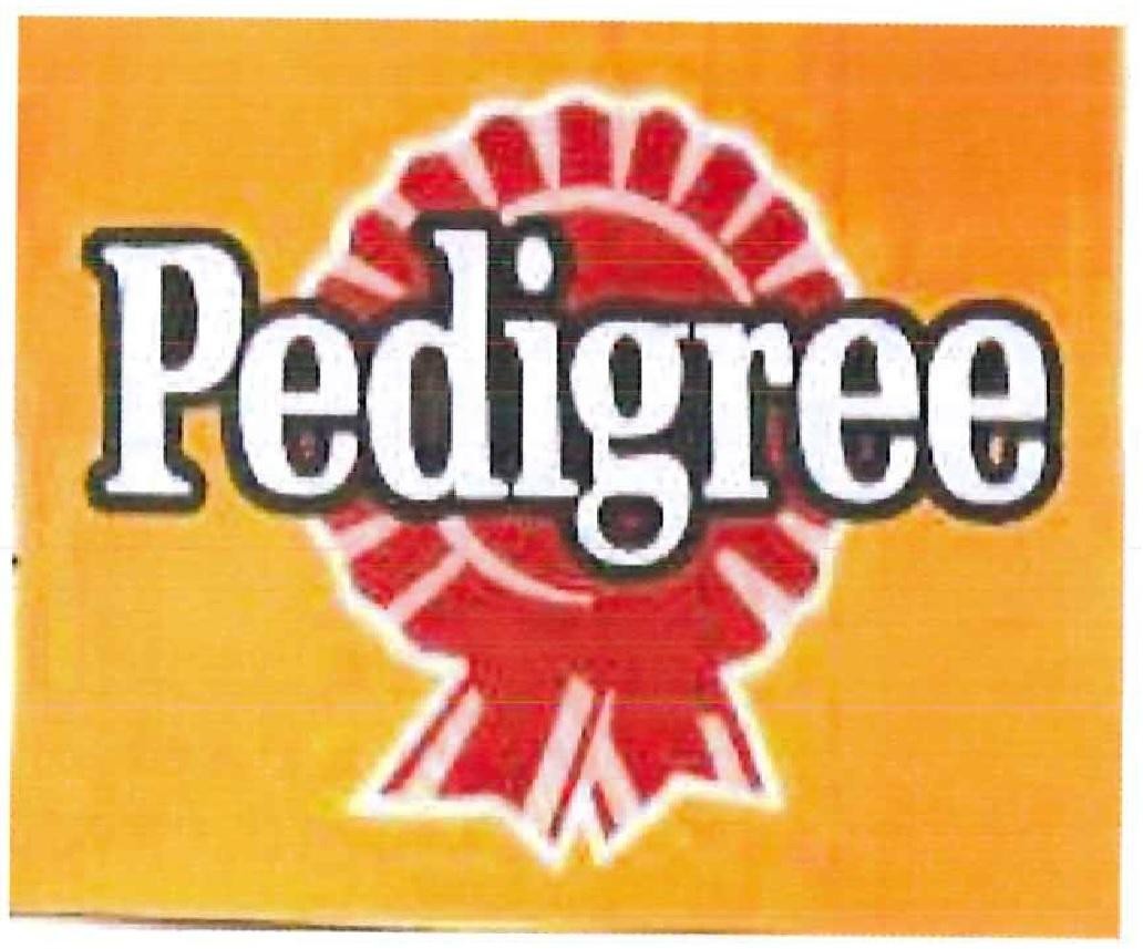 Paraqitja e markës PEDIGREE