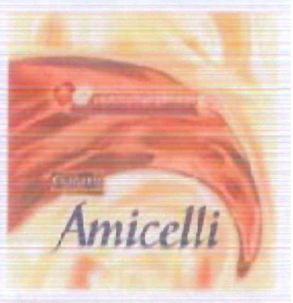 Paraqitja e markës AMICELLI