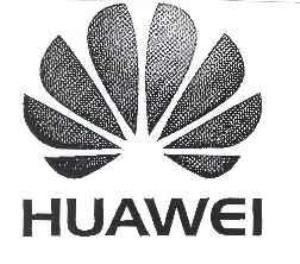 Paraqitja e markës HUAWEI