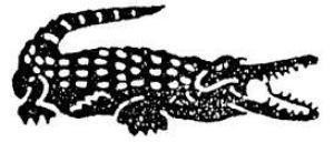 The representation of the trademark Trademark no. 002420