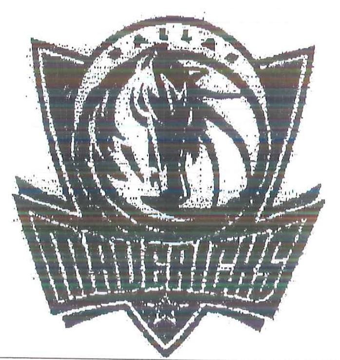 The representation of the trademark DALLAS MAVERICKS