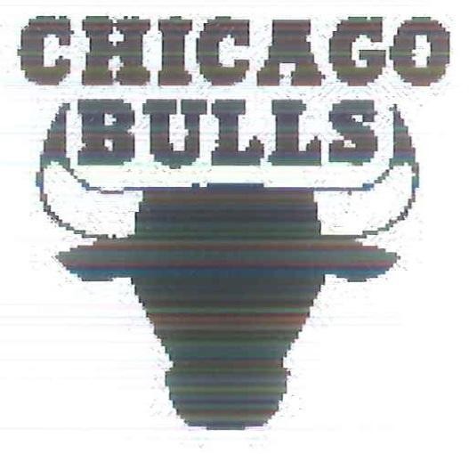 Paraqitja e markës CHICAGO BULLS