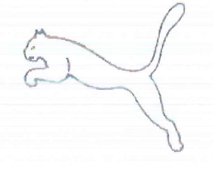 The representation of the trademark PUMA