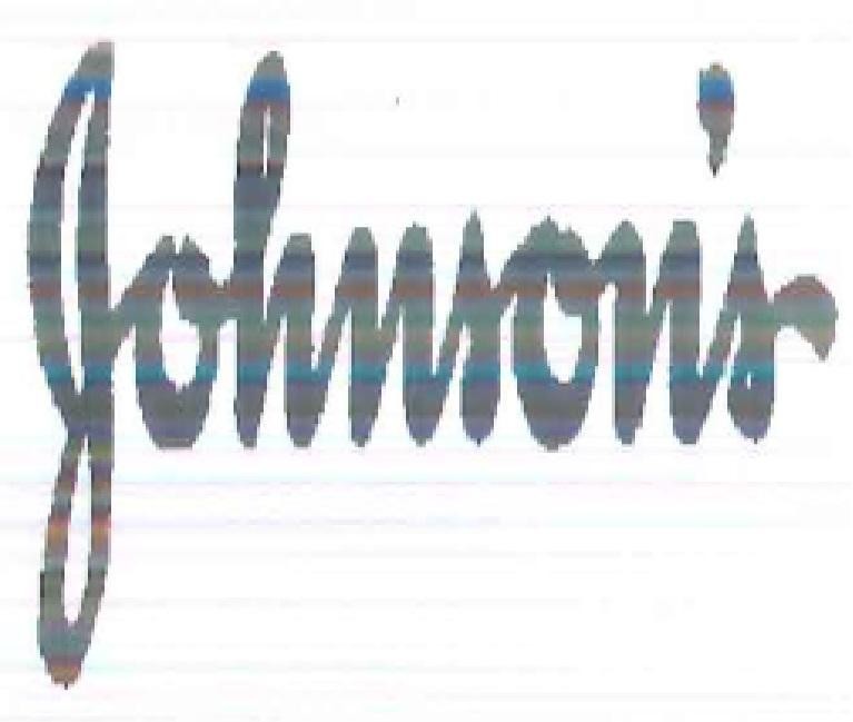 Paraqitja e markës JOHNSON'S