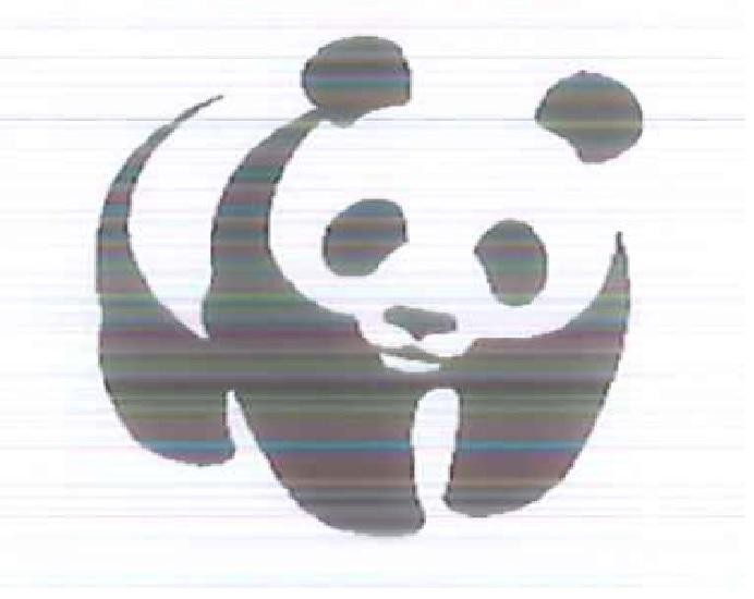 Paraqitja e markës PANDA